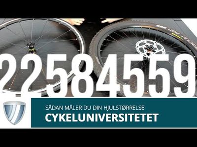 video til Cykelslanger størrelser: Komplet tabel