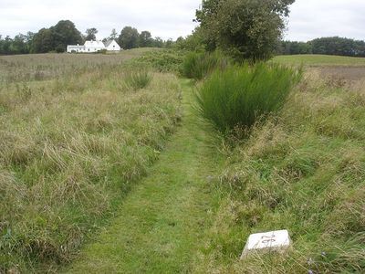 Km 26 mellem Randbøl og Vandel